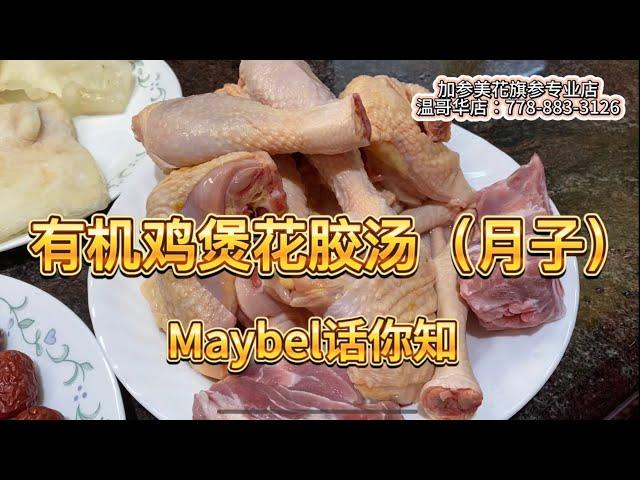 【有机鸡炖鳘鱼胶汤（月子) 】Maybel话你知 premium chicken stew fish maw soup