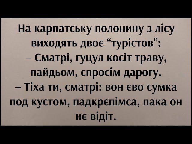 Анекдоти смішні до сліз! Збірка кумедних життєвих анекдотів | Угарні анекдоти від Жеки | Смішно.