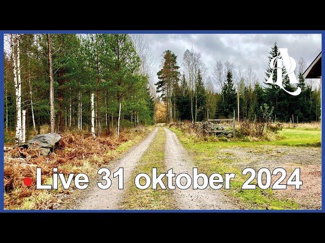  Live med Anders på landet 31 oktober 2024