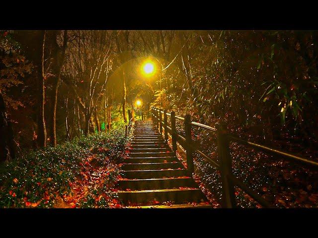 Walking in the Rain Cheongdam Neighborhood in Seoul | Rain Drops Sounds 4K HDR