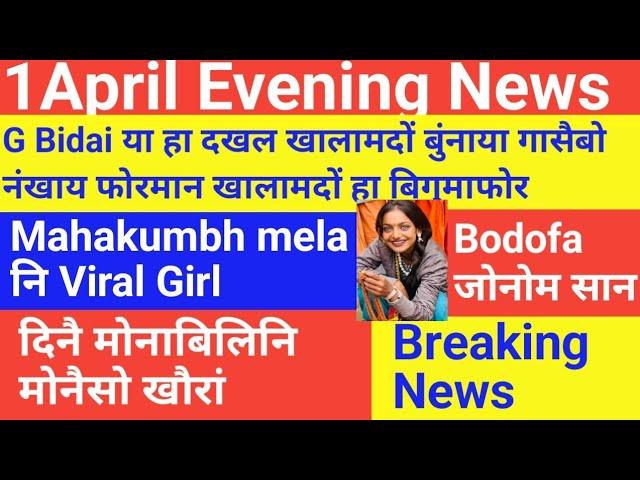 Bodo News 1 April ! Google search consule I most search word in Google I latest Bodo creator