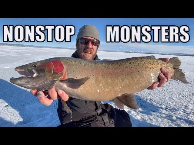 CATCHING GIANTS - Ice Fishing Colorado for MONSTER TROUT