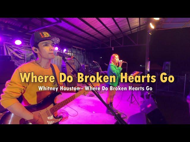 Whitney Houston | Where Do Broken Hearts Go | Sweetnotes Live