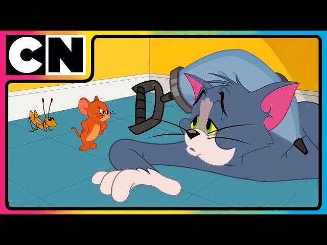 Tom and Jerry | Tom’s Icy Pursuit! | #compilation | #catandmouse | @cnindia