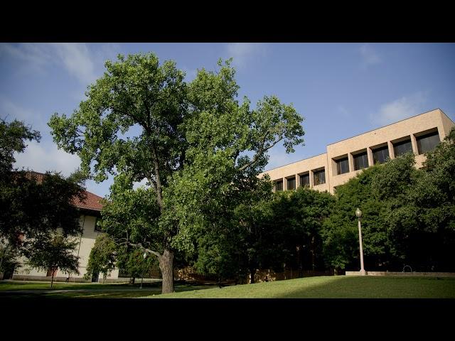The College of Education at The University of Texas at Austin Live Stream