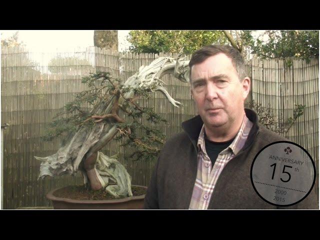 Bonsai takes time, Tony Tickle