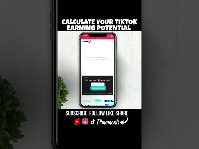 Find out how much your potential Earning on TikTok