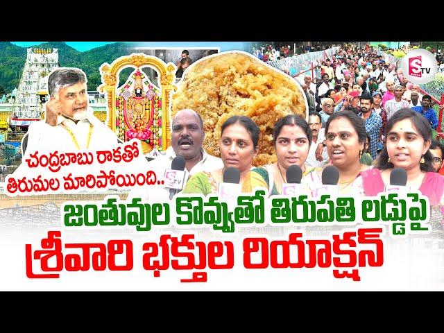 Tirumala Laddu : Srivari Devotees Reaction On Tirumala Laddu Controversy | Laddu Latest Updates