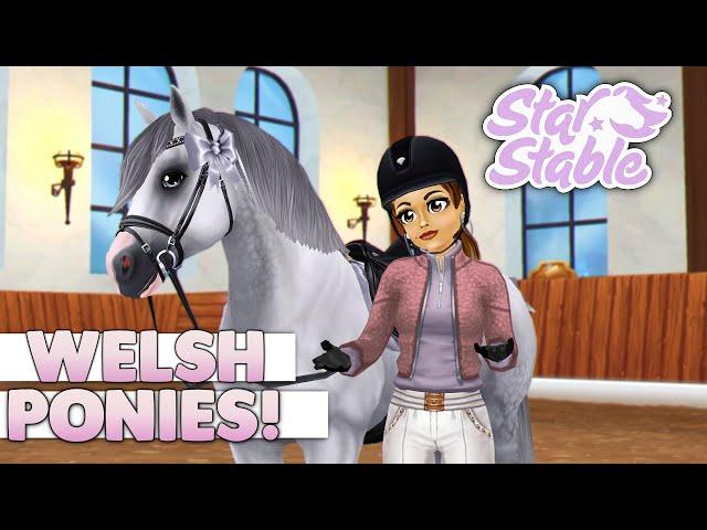 Star Stable - Buying the Updated Welsh Pony! 