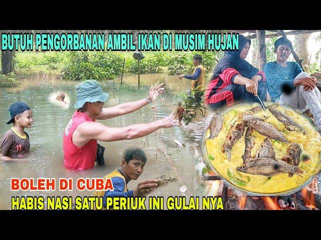 BUTUH PENGORBANAN AMBIL IKAN DI MUSIM HUJAN||INI GULAI NYA HABIS NASI SATU PERIUK!!!