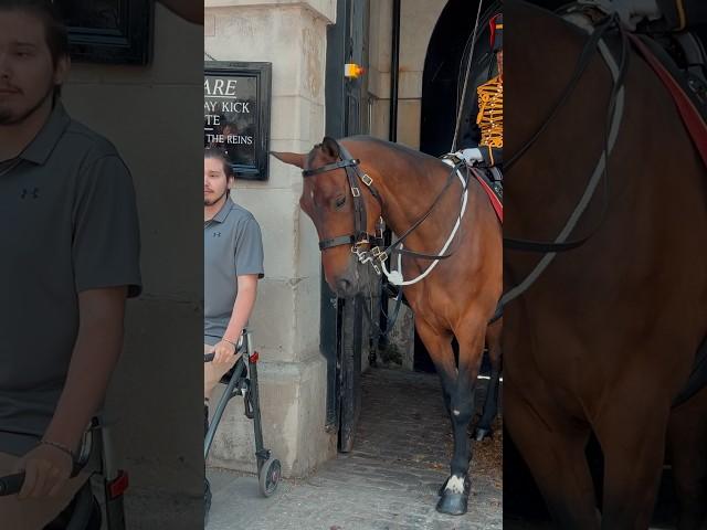 GUARDS KIND ACT  | Horse Guards, Royal guard, Kings Guard, Horse, London, 2024