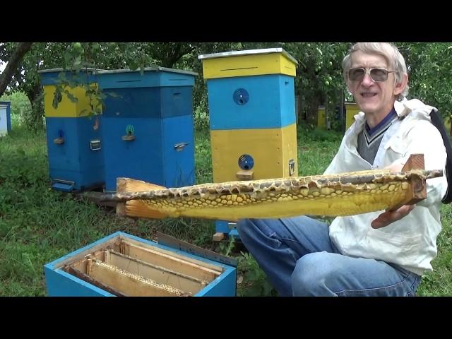 Very Effective Ukrainian Beehive of Vasyl Priyatelenko with Unique Frames (in ENGLISH)