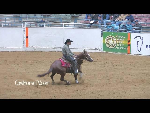 Zane Davis: Cow Horse Trainer