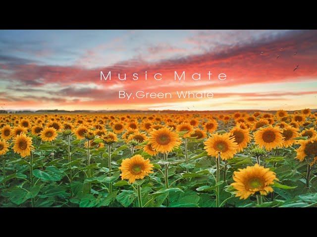 Good music to end the dayStress relief music,Relaxing music,Sleep music,Meditation music -"My Home"