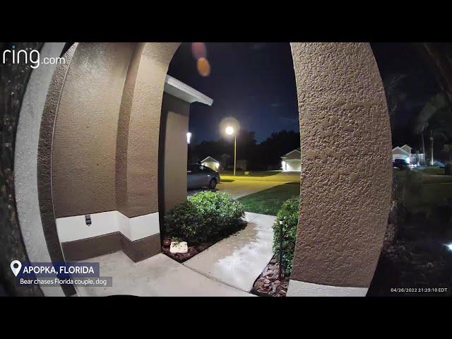 Wild viral video shows black bear chasing Apopka couple and their dog