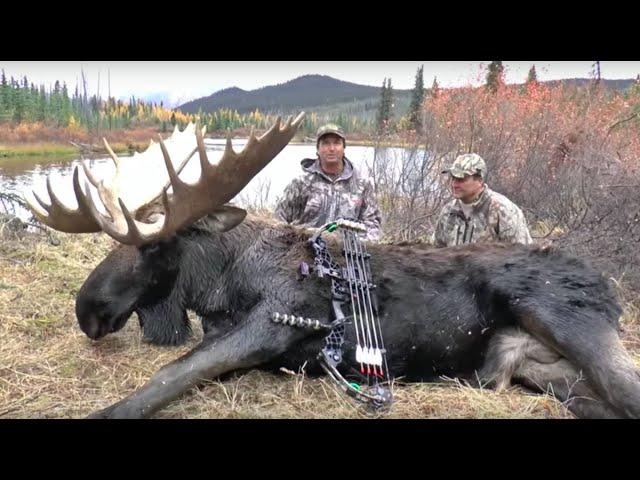 Archery Yukon Moose Hunt With Bob Fromme