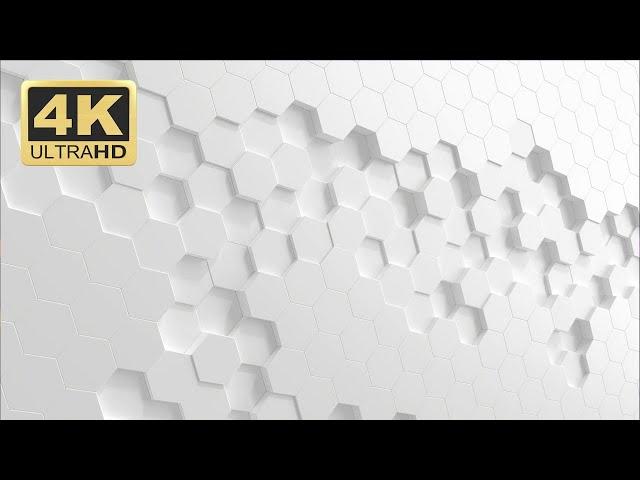 Abstract White Background 4K - Motion Graphics Background Loop - White Video Loop