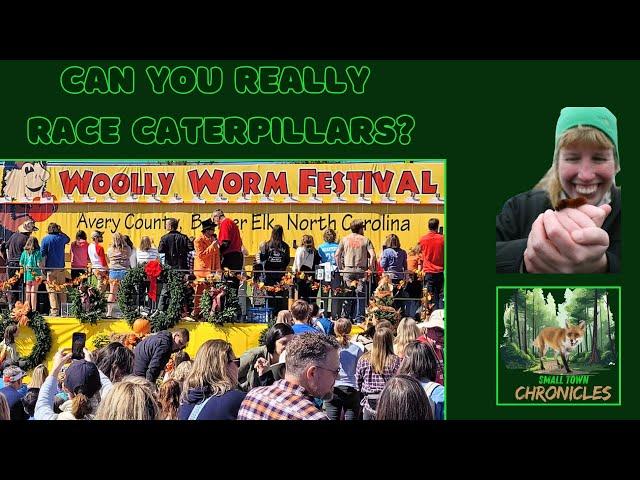 Exploring the Woolly Worm Festival: Banner Elk's Charming Tradition | Small Town Chronicles