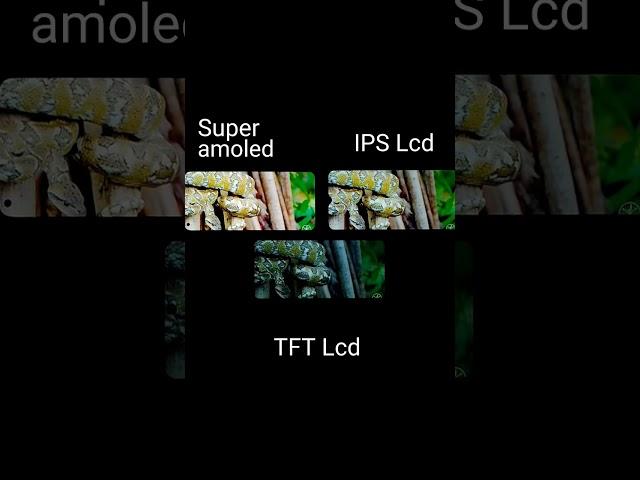 Super Amoled vs IPS Lcd vs TFT Lcd. #shorts #lcd #superamoled