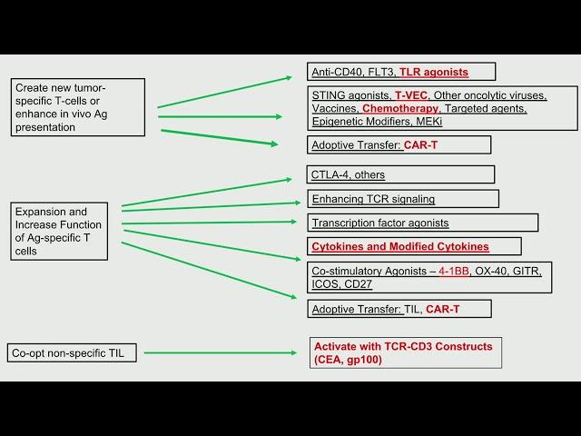 Challenges to Precision Medicine for Anti-Cancer Immunotherapy