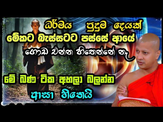 ධර්මය පුදුම දෙයක් මේකට බැස්සට පස්සේ ආයේ ගොඩ එන්න හිතෙන්නේ නැ Hadigalle චන්දලෝක හැඩිගල්ලේ චන්දාලෝක