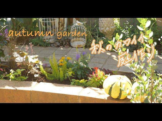 Autumn flower bed making｜How to create a beautiful