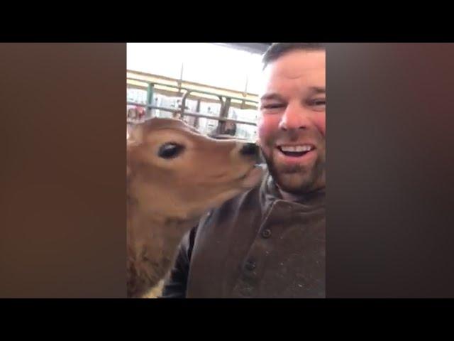 Upstate NY dairy farmer cheers up sick boy, 4, who loves cows