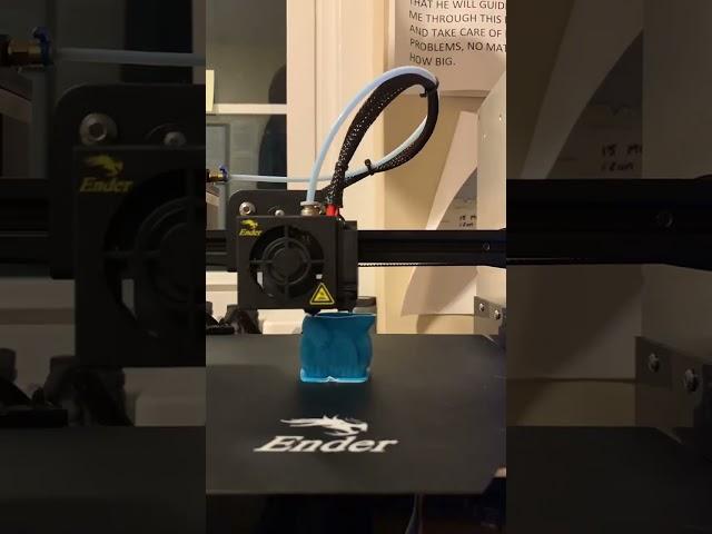 Ender 3 Pro Cat 3d Print Timelapse