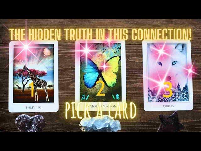  THE HIDDEN TRUTH IN THIS CONNECTION! How Do They *REALLY* Feel About You? PICK A CARD Love Tarot