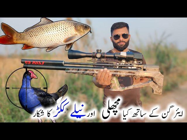 Water Birds & Fish Hunting with Airgun || Neele kukar ka shikar || مچھلی کا شکار ایئرگن کے ساتھ