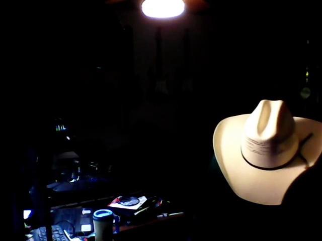She's got the rhythm and I got the blues. Darwin Skinner