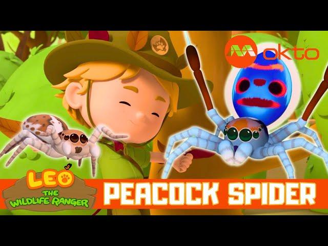 DANCING PEACOCK SPIDER ADVENTURES ️ | Leo the Wildlife Ranger Spinoff S6E01 | @mediacorpokto