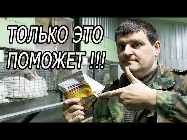 ЭТОТ МЕТОД УБЬЕТ ЛЮБУЮ ЗАРАЗУ!!!