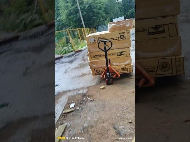 школа