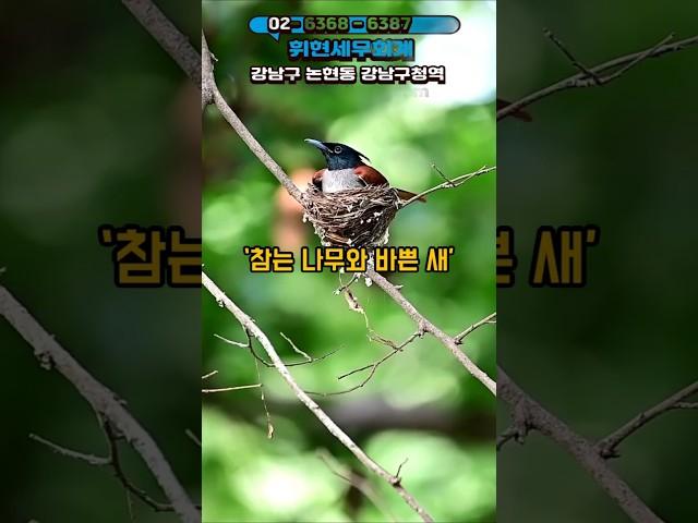 #휘현세무회계 (#고요한 지혜) #어른을위한동화 #감성에세이  #인생은기다림 #나무의인내  #삶의지혜  #짧은이야기긴여운 #치유되는글 #잔잔한감동  #철학이있는동화 #공감에세이