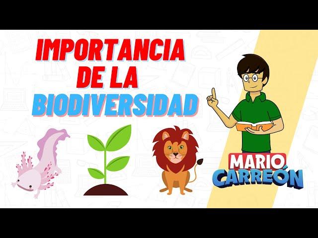  Importancia de la Biodiversidad 