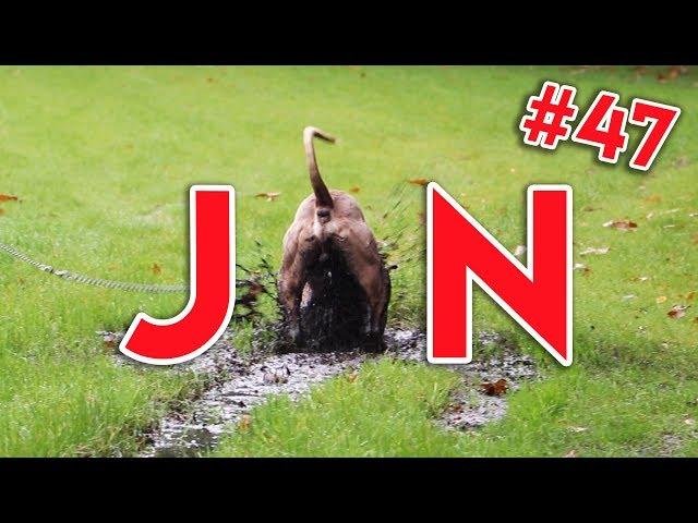 Jan zoekt jou… - KOEN DATE ROOS #47