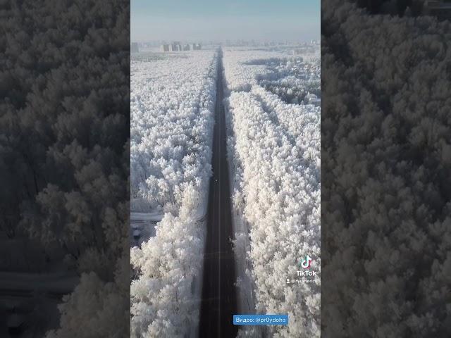 Тюмерика 