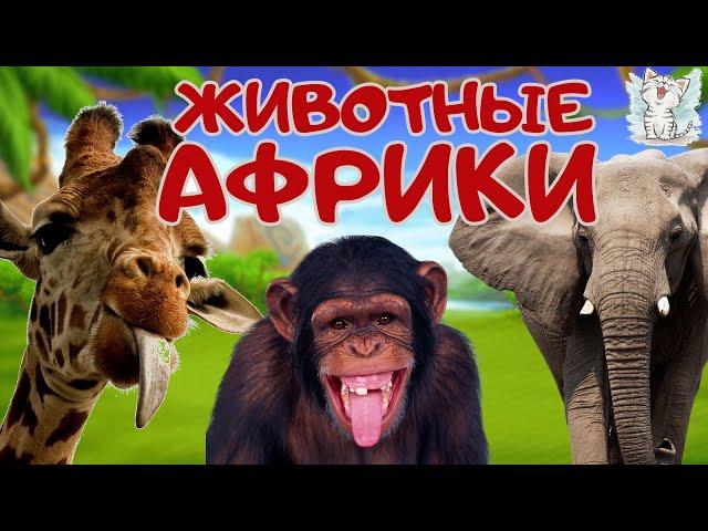 Животные Африки. Развивающее видео о животных для детей