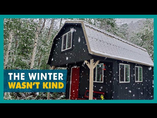 Return to the Off-Grid Tiny House doing a Winter Damage Overview