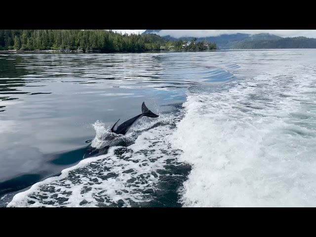 Prince of Whales in Telegraph Cove