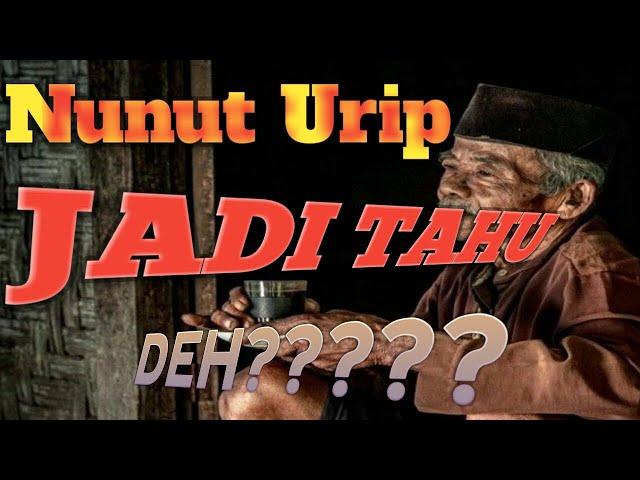 NUNUT URIP DALAM BAHASA JAWA //JADI THUDEH