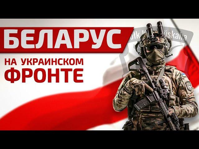 Беларус, воюющий за Украину: протесты, война, будущее Беларуси