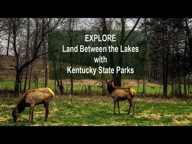 Explore Land Between the Lakes with Kentucky State Parks