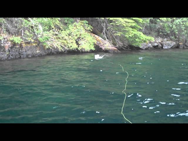 Trucha Arcoiris mosca seca lago Lolog