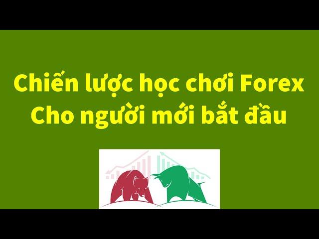 Forex | Chiến Lược Học Chơi Forex Cho Người Mới | Đầu Tư Forex