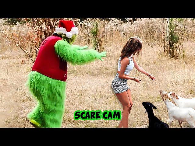 BEST CHRISTMAS SCARE CAM Priceless Reactions 2024#101 | Funny Videos TikTok | CoCo Scare Cam |