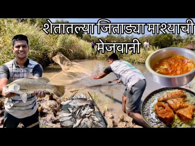 आज गेलो शेतातले जिताडी पकड्याला #barramundi #fish #catching #cooking  । Marathi Vlog