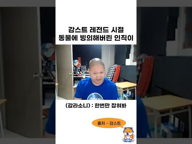 감스트 레전드 시절 동물에 빙의해버린 인직이 ㅋㅋㅋㅋㅋㅋ