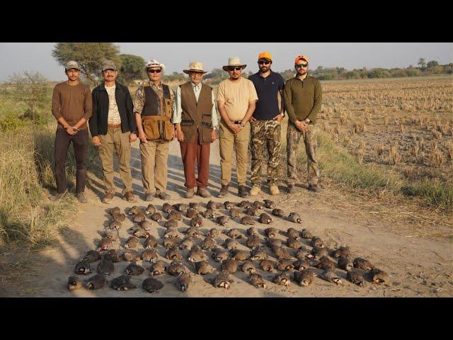 Red-legged partridge shoot’23 at Sindh Valley Safari.